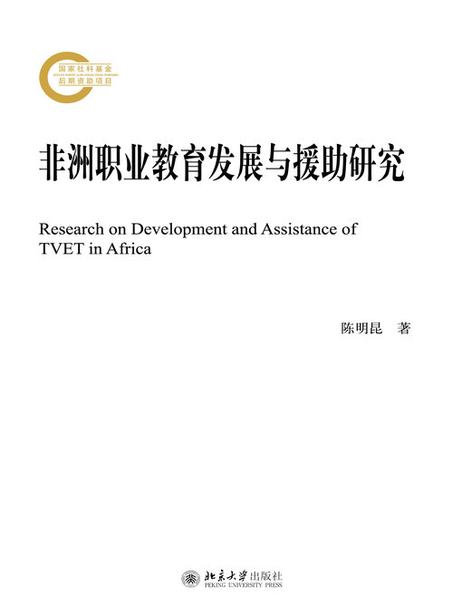 Cover image for 非洲职业教育发展与援助研究